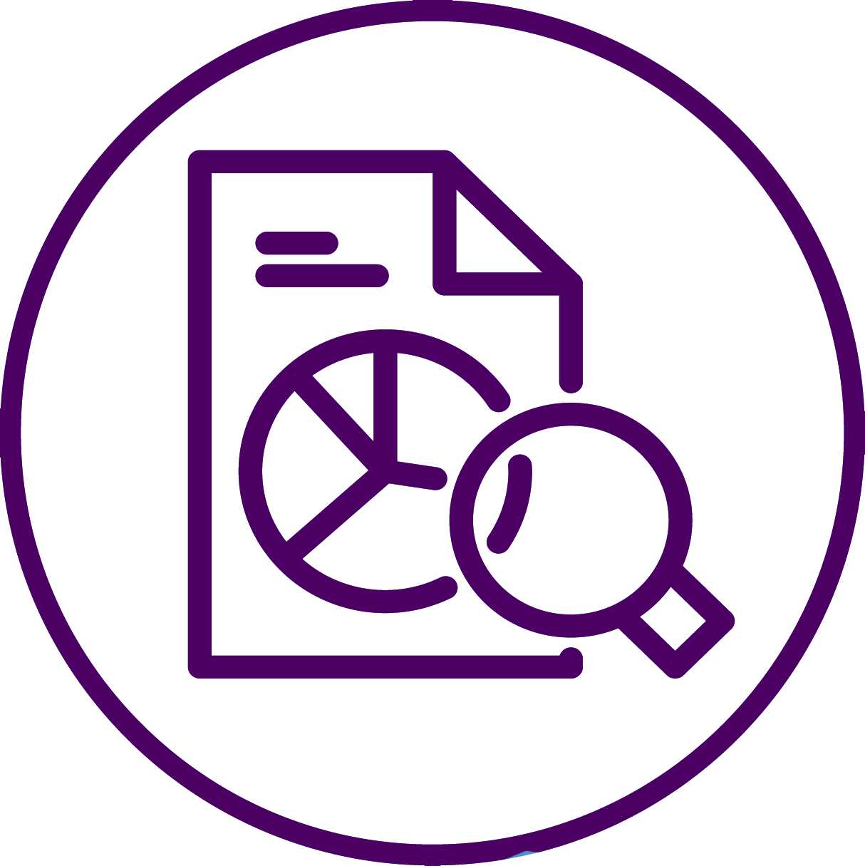 icon of pie chart and magnifying glass